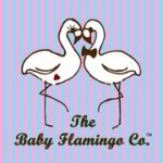 Baby Flamingo Company