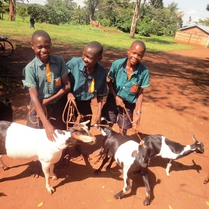 Vocational Training with Goats